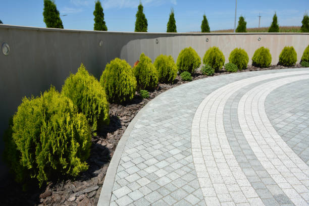 Best Decorative Driveway Pavers  in Montalvin Manor, CA
